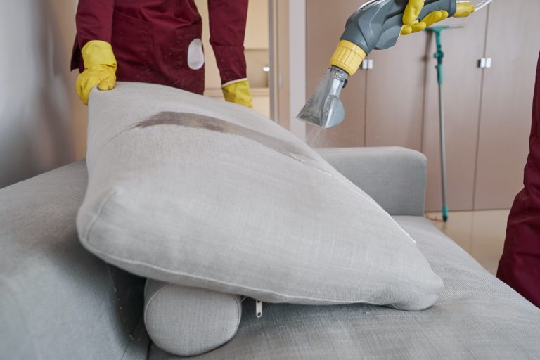 Professional janitorial personnel steam-cleaning sofa pillow indoors
